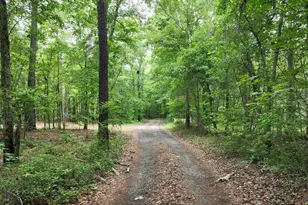 1141 Crosshill Rd, Hopkins, SC 29061 - Photo 38
