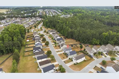 233 Sunday Silence Lane, Elgin, SC 29045 - Photo 36