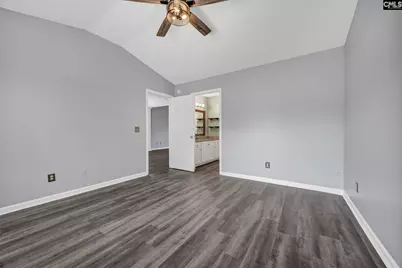 120 West Horn, Chapin, SC 29036 - Photo 18