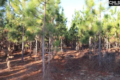 Holstein Road, Wagener, SC 29164 - Photo 20