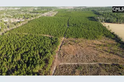 Holstein Road, Wagener, SC 29164 - Photo 18
