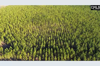 Holstein Road, Wagener, SC 29164 - Photo 26