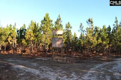 Holstein Road, Wagener, SC 29164 - Photo 16