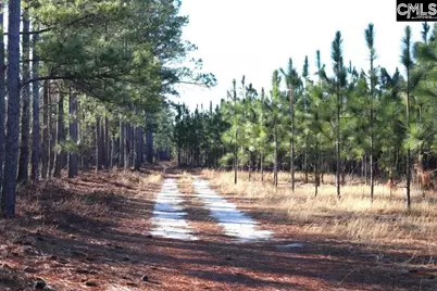 Holstein Road, Wagener, SC 29164 - Photo 1
