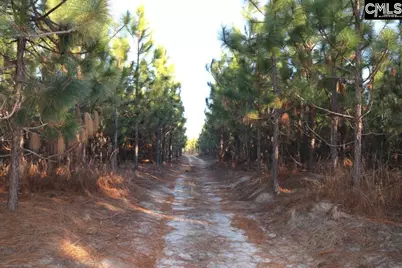 Holstein Road, Wagener, SC 29164 - Photo 8