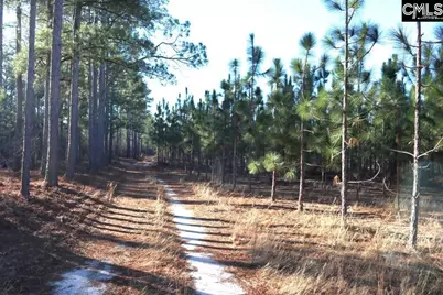 Holstein Road, Wagener, SC 29164 - Photo 14