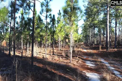 Holstein Road, Wagener, SC 29164 - Photo 10