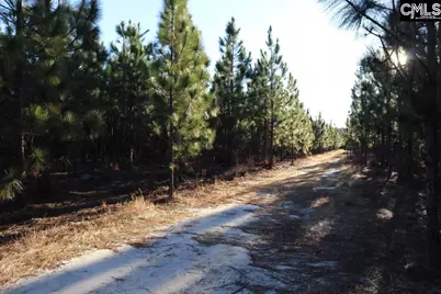 Holstein Road, Wagener, SC 29164 - Photo 24