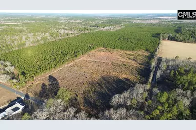 Holstein Road, Wagener, SC 29164 - Photo 4