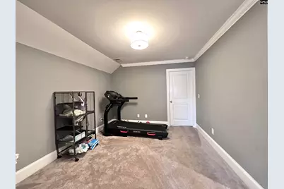 208 Mary Locke Court, Elgin, SC 29045 - Photo 54
