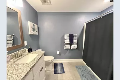 208 Mary Locke Court, Elgin, SC 29045 - Photo 46