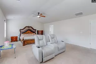 164 Prismatic Wy, Lexington, SC 29072 - Photo 16