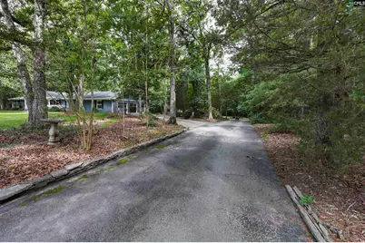 412 Murray Lindler Road, Chapin, SC 29036 - Photo 44