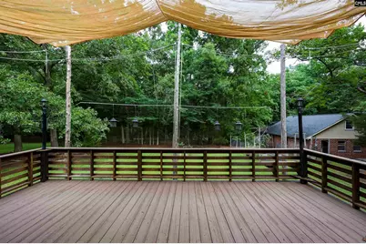 412 Murray Lindler Road, Chapin, SC 29036 - Photo 8