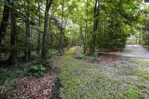 412 Murray Lindler Rd, Chapin, SC 29036 - Photo 52