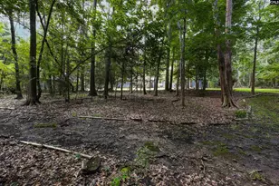 412 Murray Lindler Rd, Chapin, SC 29036 - Photo 42