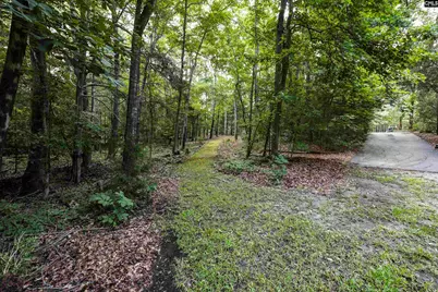 412 Murray Lindler Road, Chapin, SC 29036 - Photo 40