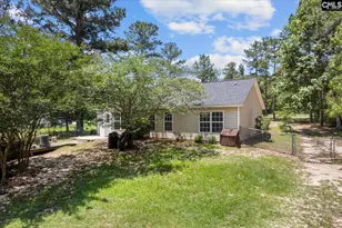 881 Bushberry Rd, Pelion, SC 29123 - Photo 28