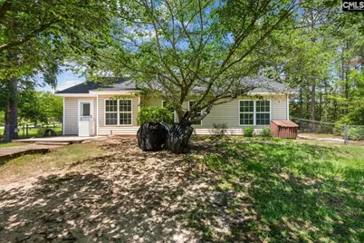 881 Bushberry Road, Pelion, SC 29123 - Photo 26