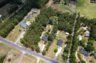 881 Bushberry Rd, Pelion, SC 29123 - Photo 32