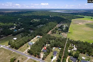 881 Bushberry Rd, Pelion, SC 29123 - Photo 4