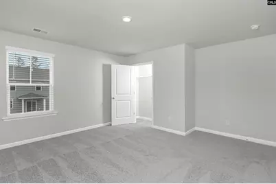 412 Leathertree Lane, Blythewood, SC 29016 - Photo 38