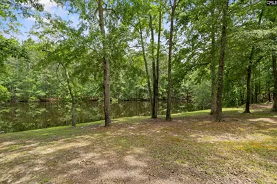 205 Soft Stone Drive, Blythewood, SC 29016 - Photo 48