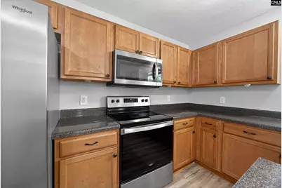 224 Walkbridge Way, Chapin, SC 29036 - Photo 10