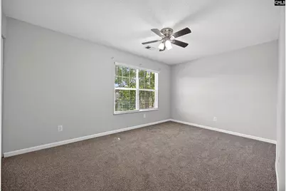 224 Walkbridge Way, Chapin, SC 29036 - Photo 30
