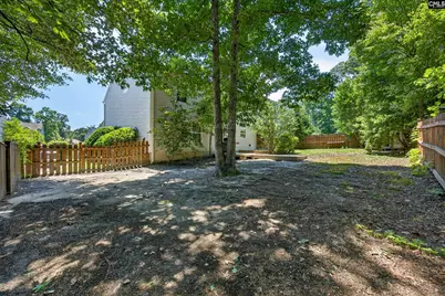 224 Walkbridge Way, Chapin, SC 29036 - Photo 44