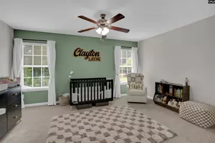 109 Sunsation Dr, Chapin, SC 29036 - Photo 36