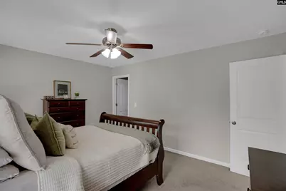 109 Sunsation Drive, Chapin, SC 29036 - Photo 32