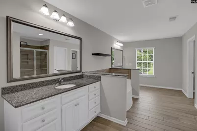 109 Sunsation Drive, Chapin, SC 29036 - Photo 28