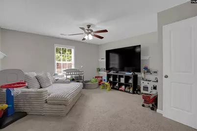 109 Sunsation Drive, Chapin, SC 29036 - Photo 22