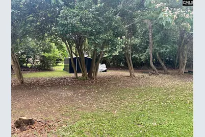 509 S Lee Street, Bishopville, SC 29210 - Photo 8