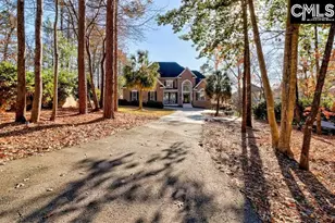 2016 Amicks Ferry Rd, Chapin, SC 29036 - Photo 6