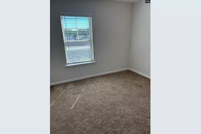 154 Wahoo Circle, Irmo, SC 29063 - Photo 4