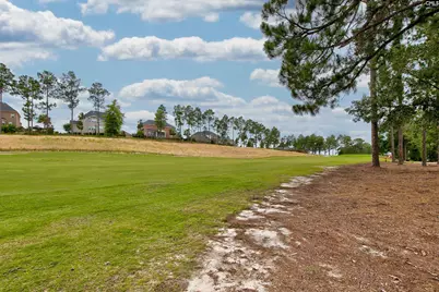 134 Backspin Drive, Elgin, SC 29045 - Photo 54