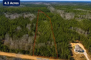 0 Rabbit Den Rd, Rembert, SC 29128 - Photo 1