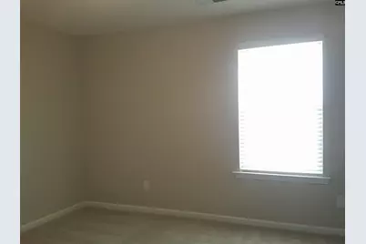 1116 Turtle Stone Road, Blythewood, SC 29016 - Photo 22