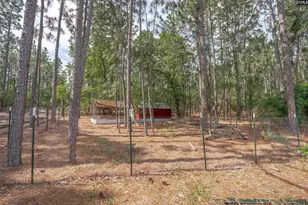 129 Lord and Tucker Ct, Lexington, SC 29073 - Photo 46