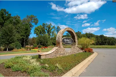 414 Tulip Way, Lexington, SC 29072 - Photo 62