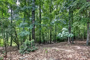 113 Athena Ln, Lexington, SC 29072 - Photo 6