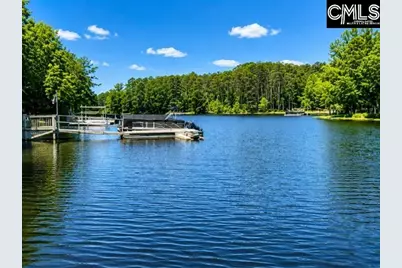 309 Bent Oak Drive, Chapin, SC 29036 - Photo 4