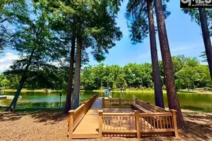 309 Bent Oak Dr, Chapin, SC 29036 - Photo 48