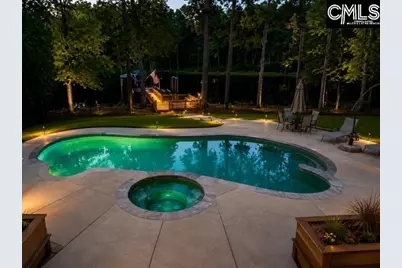 309 Bent Oak Drive, Chapin, SC 29036 - Photo 44