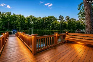 309 Bent Oak Dr, Chapin, SC 29036 - Photo 12