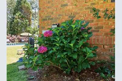 148 High Knoll Road, Columbia, SC 29223 - Photo 74