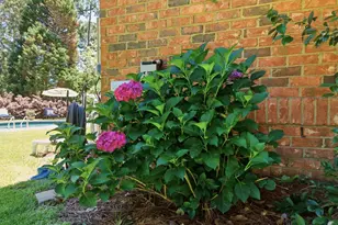 148 High Knoll Rd, Columbia, SC 29223 - Photo 74