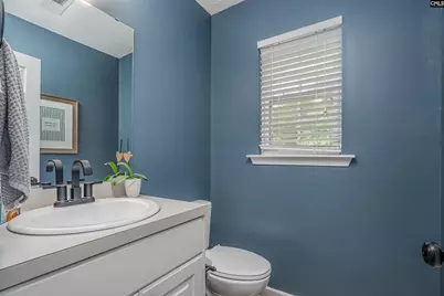 107 Elm Creek Drive, Chapin, SC 29036 - Photo 14